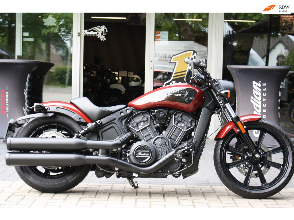 Indian Scout Rogue